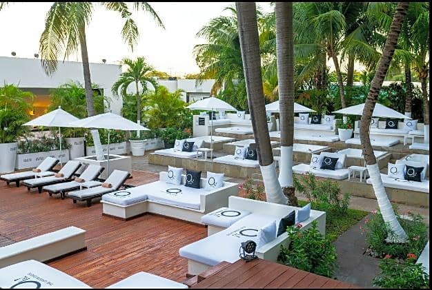 Oh! The Urban Oasis - Adults only