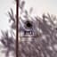 L'Ulivo Bed and Breakfast