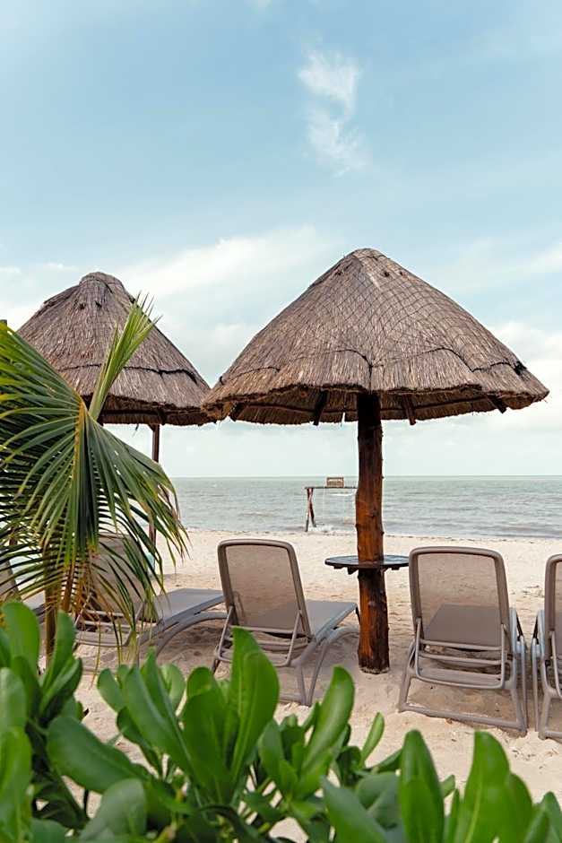 Totem Beach Club - Celestun