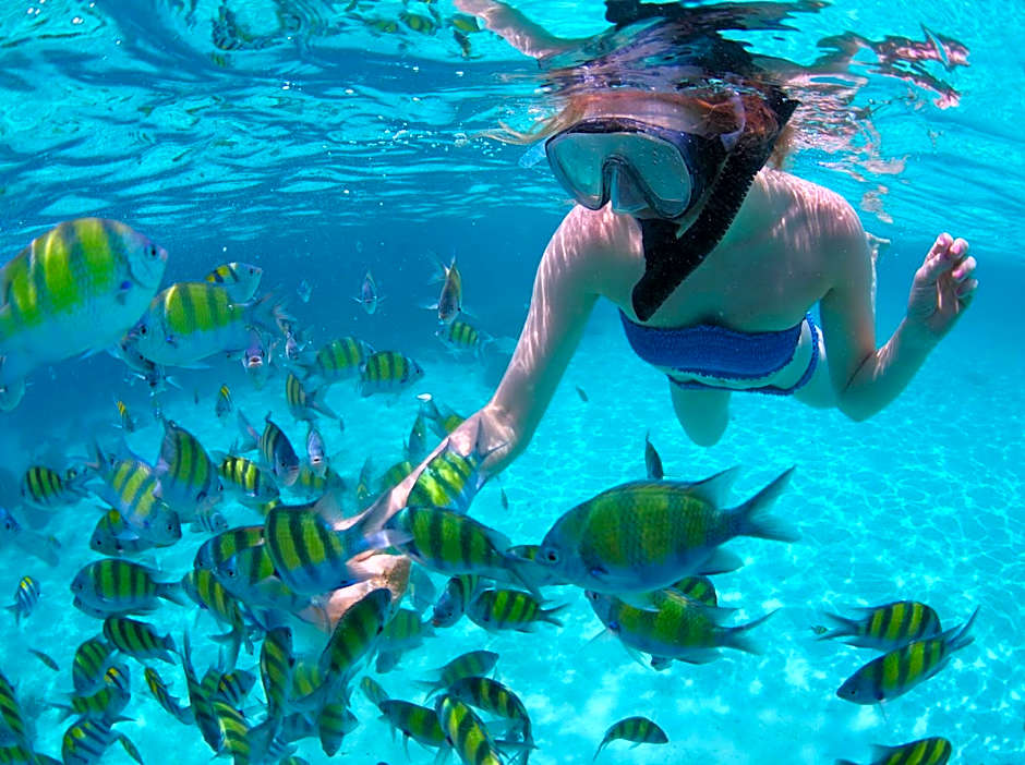 Baraka Beach Bungalows