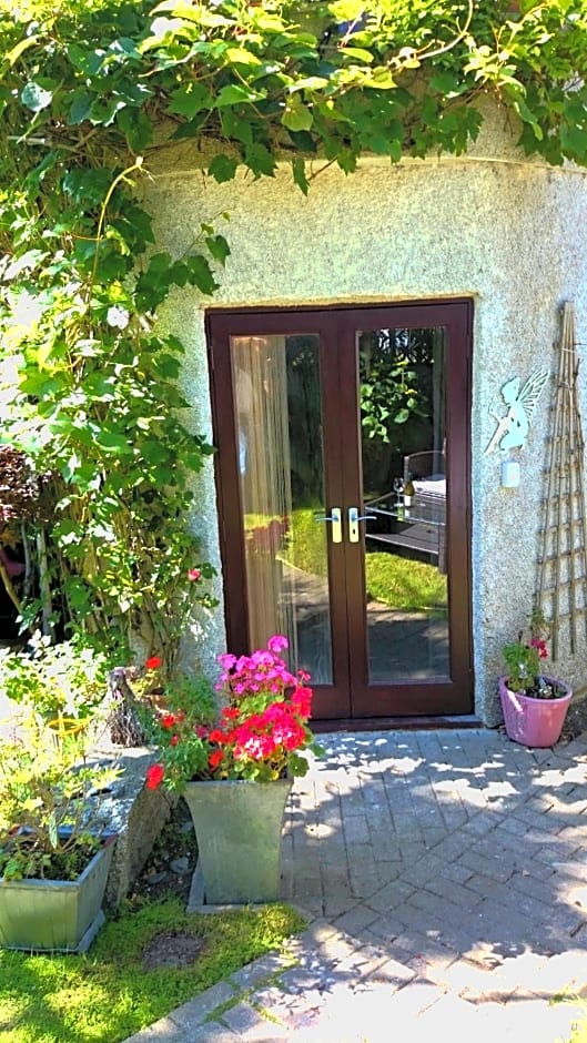 The Blue Palms - Fistral Beach