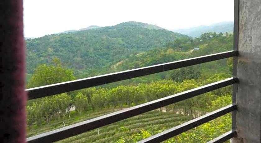 101 Tea Green View