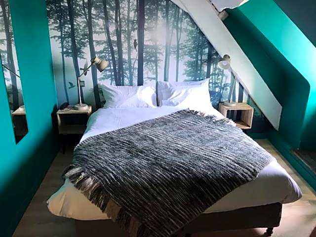 Hotel Du Cygne Tours