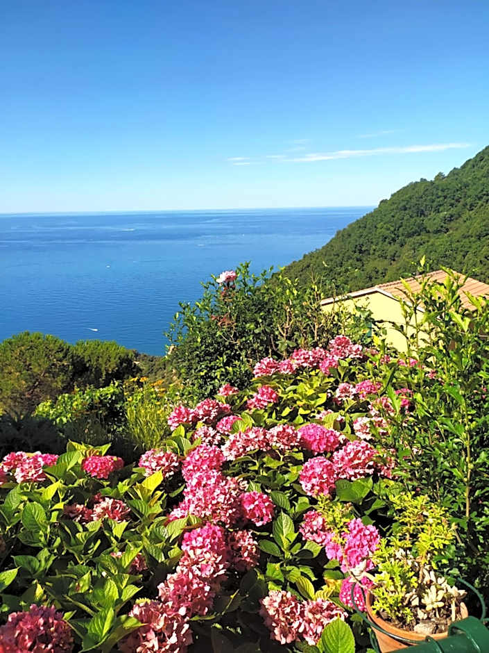 Ostello ninin de ma'