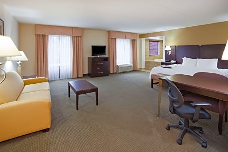 1 King Bed Studio Suite Whirlpool Nonsmoking