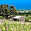 Monaci delle Terre Nere