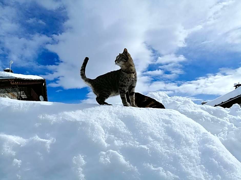 Osteria l'iero d'Eima'