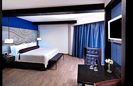 Rock Suite Platinum