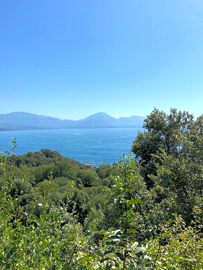 Maison Du Reve Scario