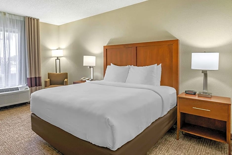 Comfort Inn & Suites St. Pete - Clearwater International Airport