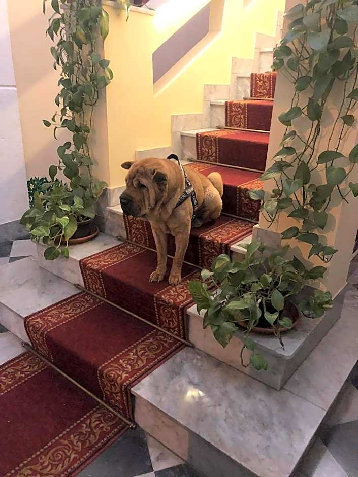 B&B Al Piazza Marina