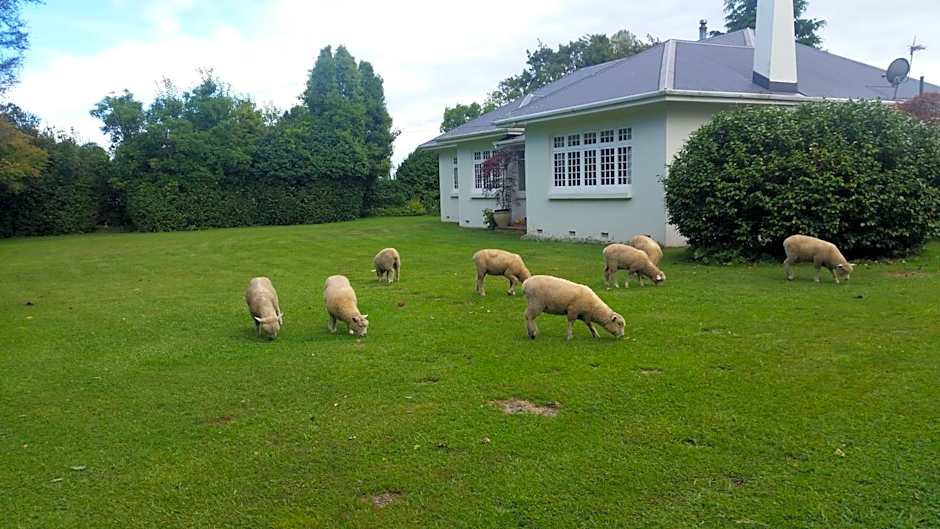 Homestead B&B Cambridge