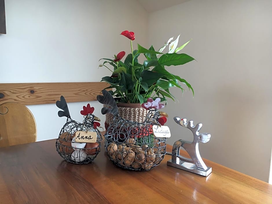 B&B Friedau