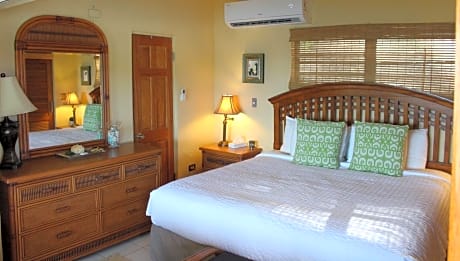 One-Bedroom Villa with Ocean View