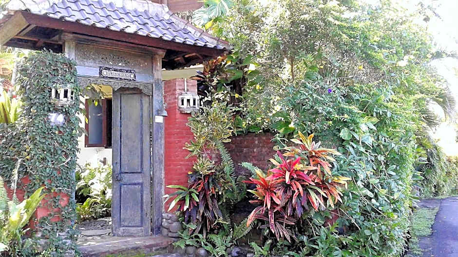 Pondok Pisces Bungalows Balian Beach