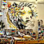 Sydney Hostel