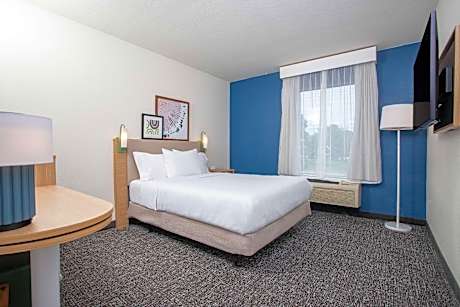 1 Queen Mobility/Hearing Accessible Ri Shower