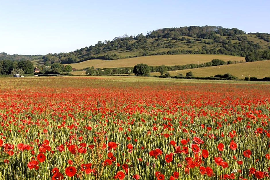 Charlton End - Goodwood Events