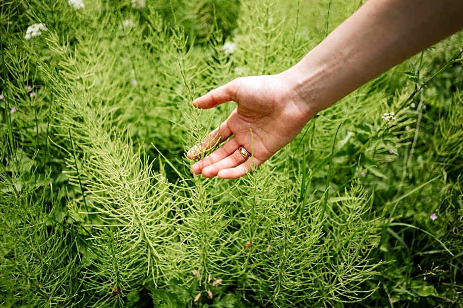 Pustelnia Supraśl - domki nad rzeką