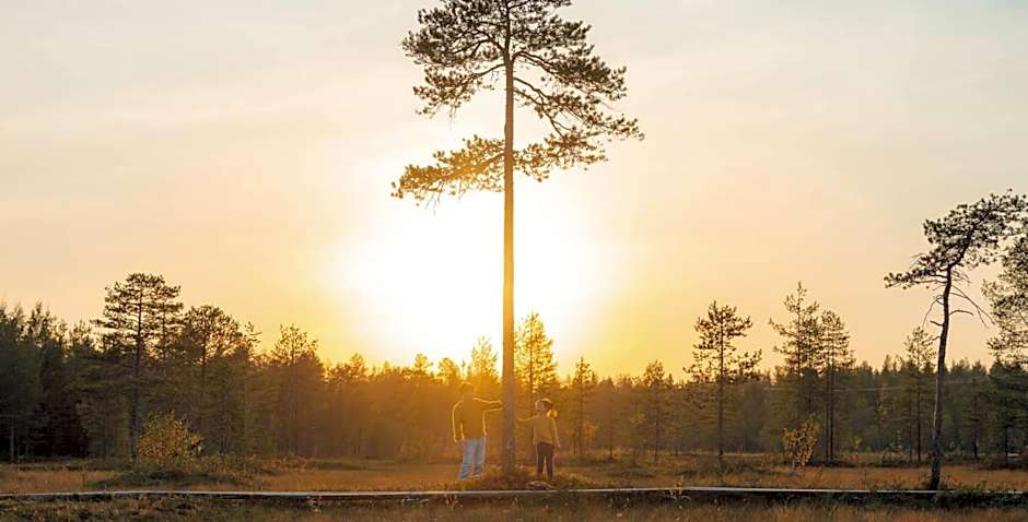 Lapland Hotels Pallas