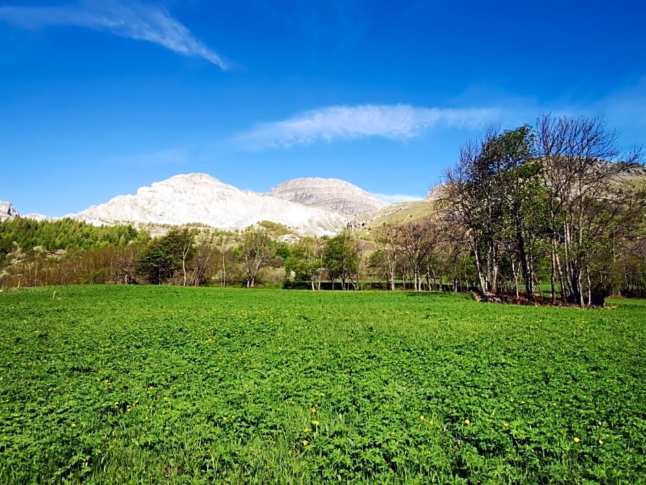 Les marmottes d Estenc