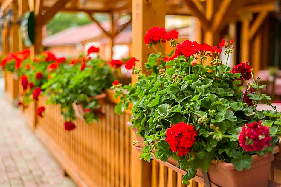 Lipicai Hotel és Étterem