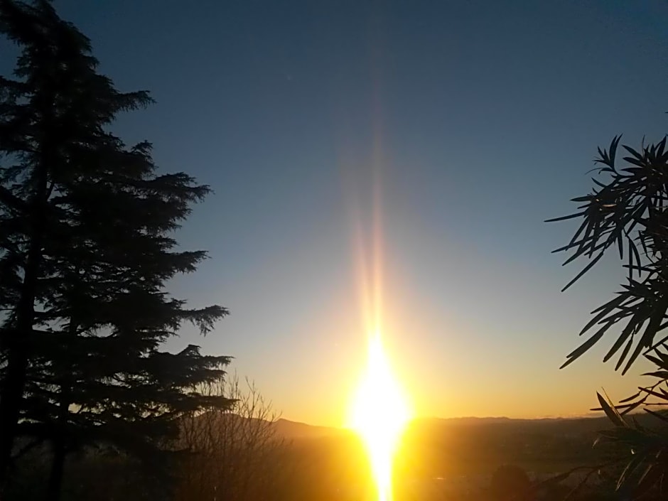 A1 Girasole B&B