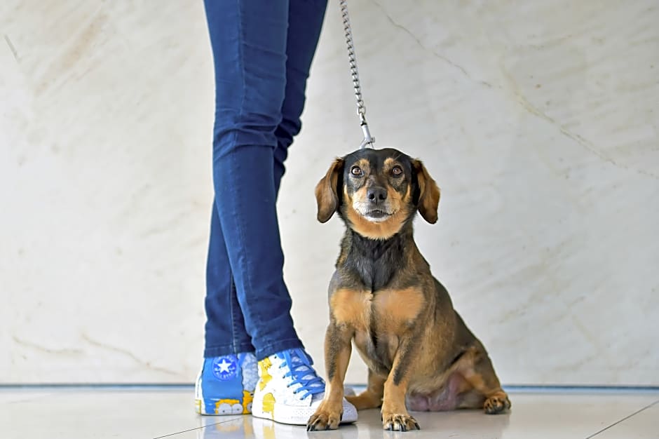 Pestana Berlin Tiergarten