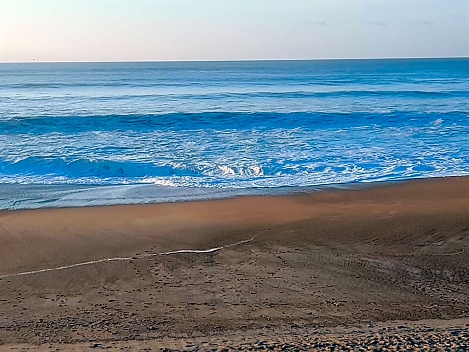 La Clairière du Seignanx