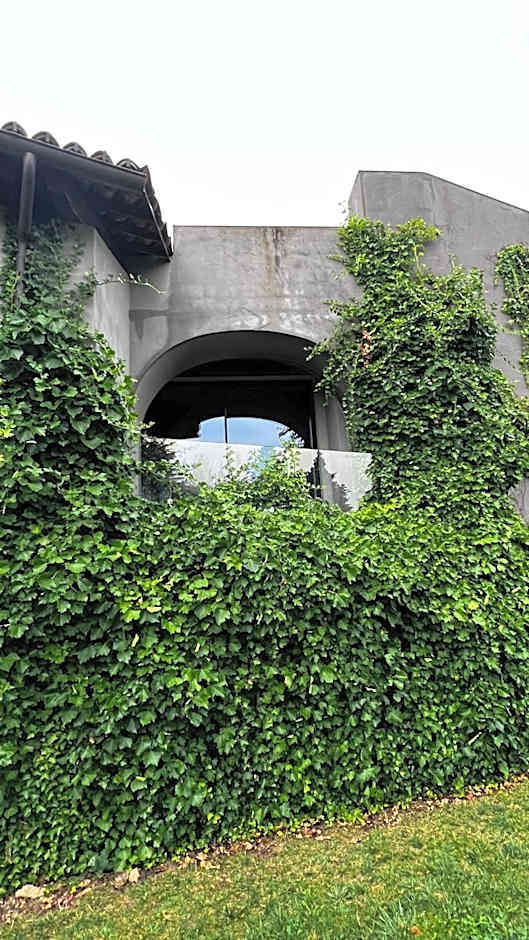 Murrae Loft