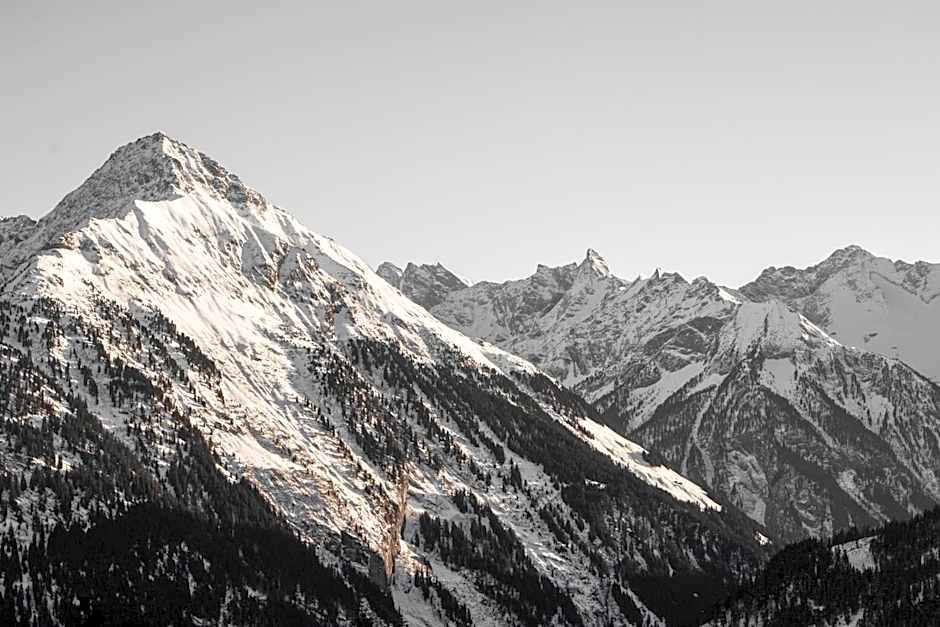 ASTER Boutique Hotel & Chalets