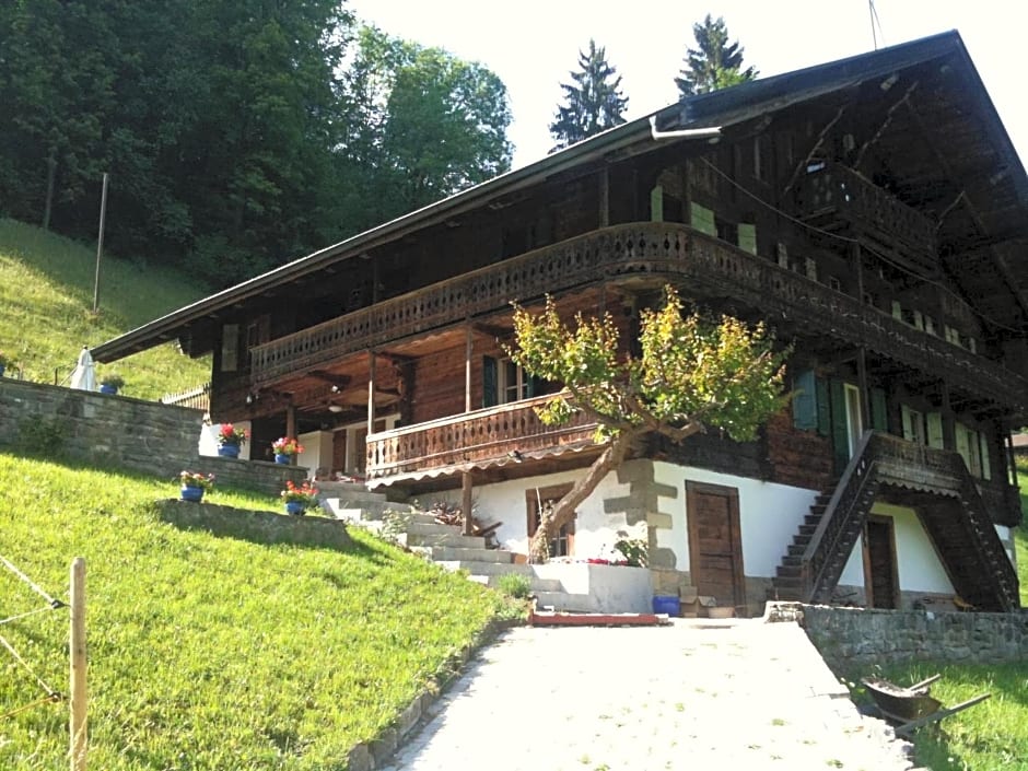 Spacious Swiss Alpine Chalet for Nature Lovers