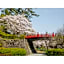 Odawara Terminal Hotel - Vacation STAY 83672v