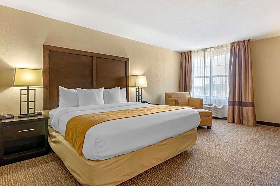 Comfort Inn & Suites Allen Park - Dearborn