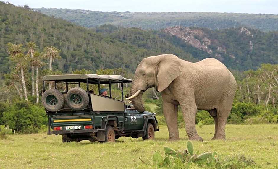 Sibuya Game Reserve and Lodge