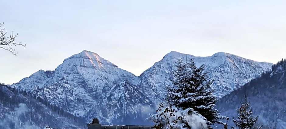 Hotel Steffl Garni inkl Chiemgau Karte