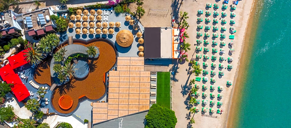 Very Chic Adult Only 18 