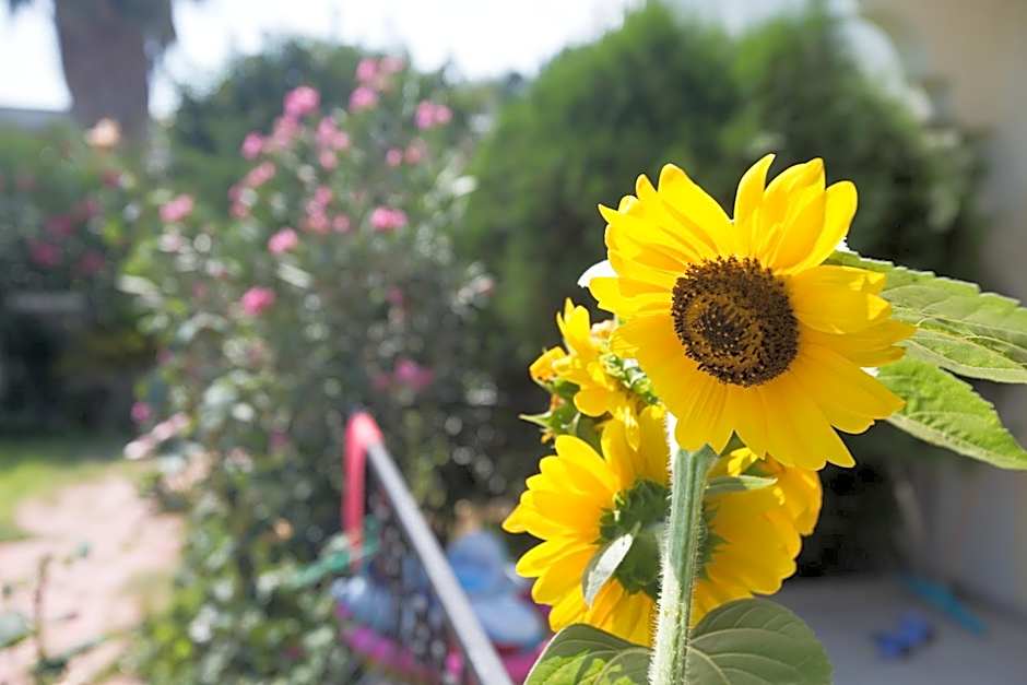 Dedeminn Garden Hotel