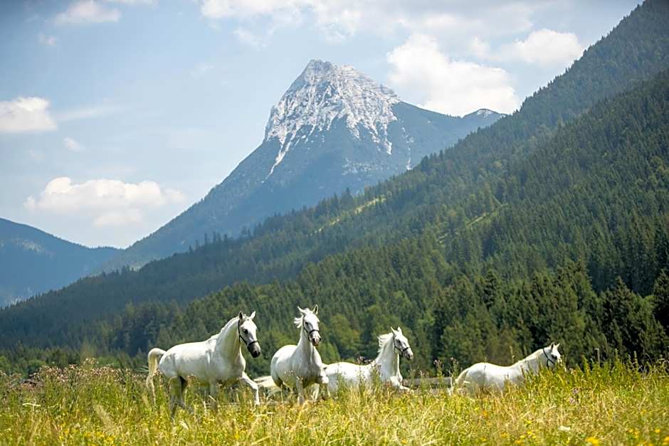 Posthotel Achenkirch Resort and Spa - Adults Only