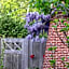 Beeltjens B&B: Wolf&Belle