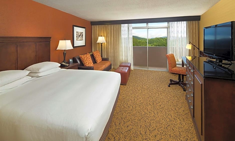 The Park Vista - A DoubleTree By Hilton Hotel - Gatlinburg