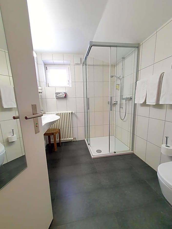 Hotel-Restaurant Grina