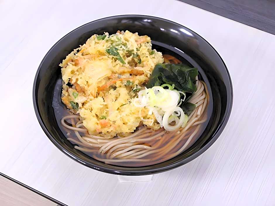 Sotetsu Fresa Inn Ueno-Okachimachi