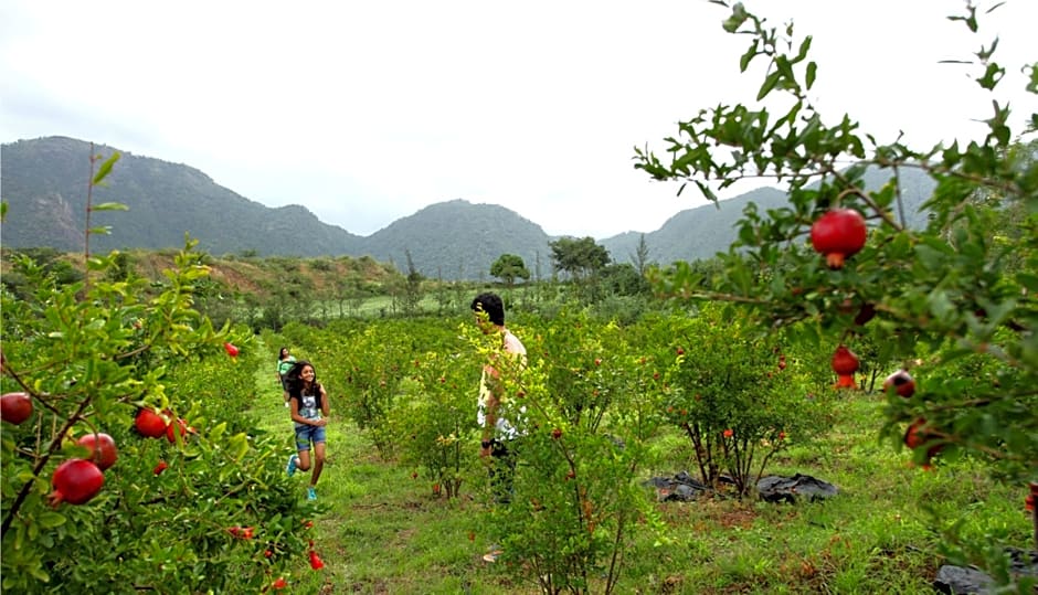 Harvest Fresh Farms Home Stay