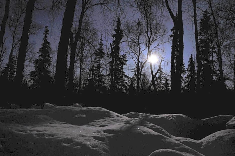 Talkeetna Chalet