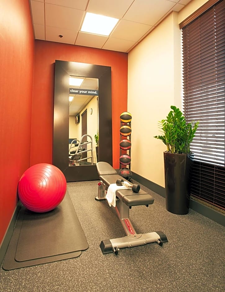 Hampton Inn Washington-Dulles International Airport South