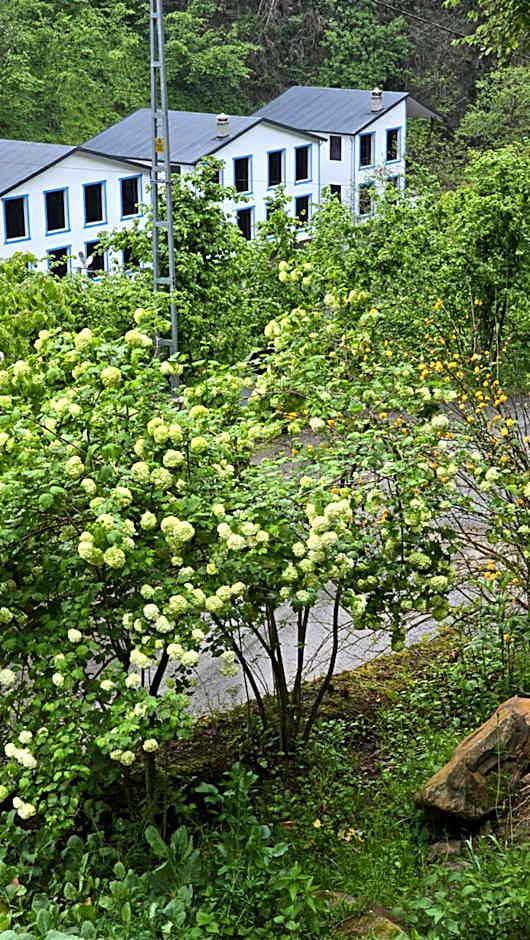 Muradland منتجع فيلات الوادي الأخضر