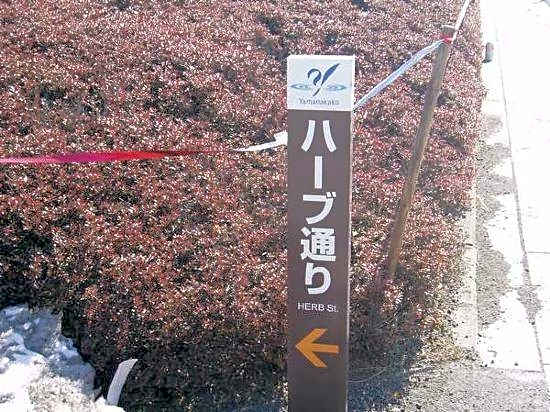Pension Mori