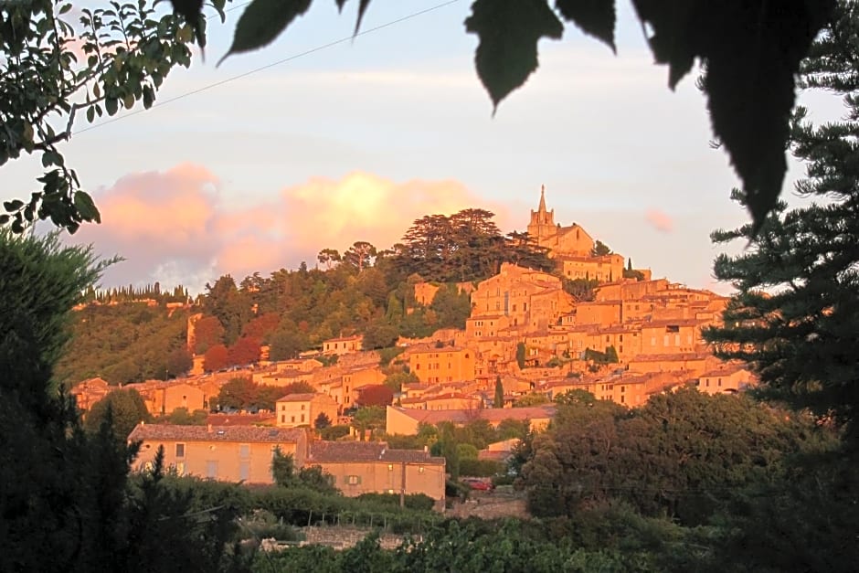 Rose – Bonnieux, UT
