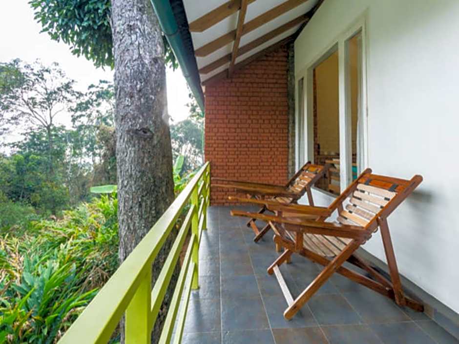 Neelakurunji Plantation Munnar